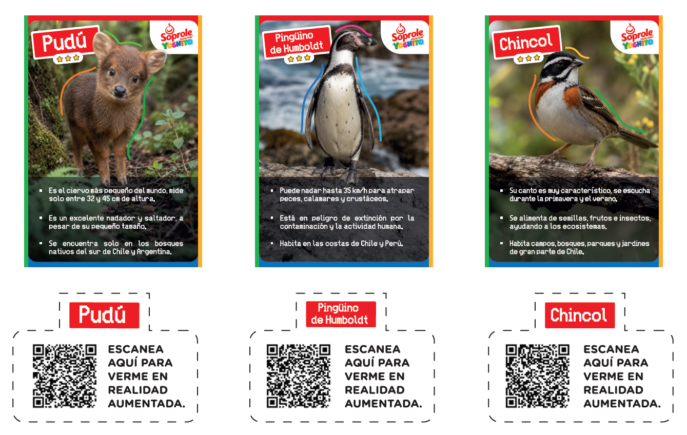 Exploradores de Chile 1